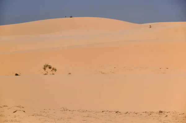 Zandduinen in de woestijn — Stockfoto