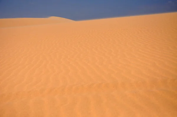 Zandduinen in de woestijn — Stockfoto