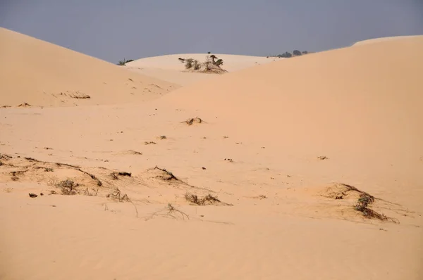 Homokdűnék a sivatagban — Stock Fotó