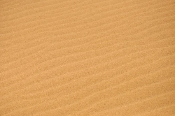 Dune di sabbia nel deserto — Foto Stock