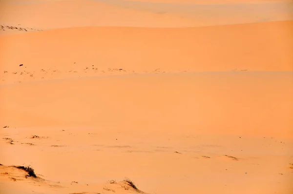 Αμμόλοφους στην έρημο — Φωτογραφία Αρχείου