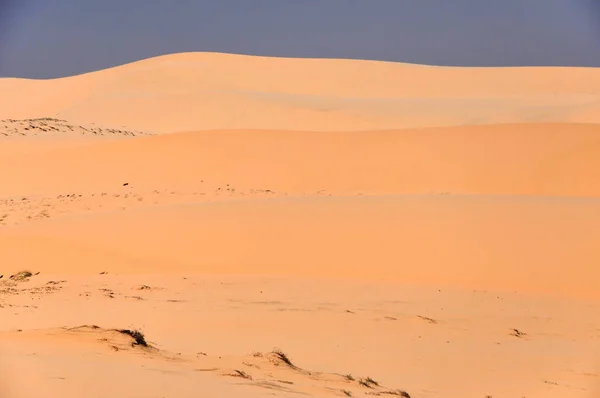 Αμμόλοφους στην έρημο — Φωτογραφία Αρχείου