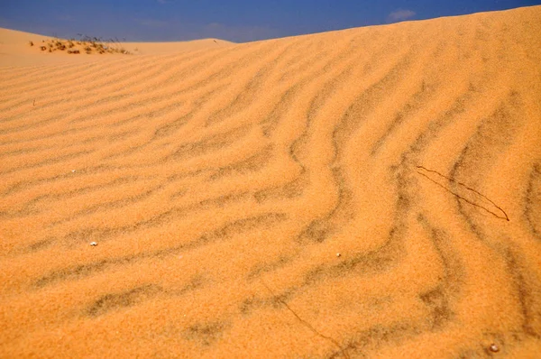 Dunes de sable dans le désert — Photo