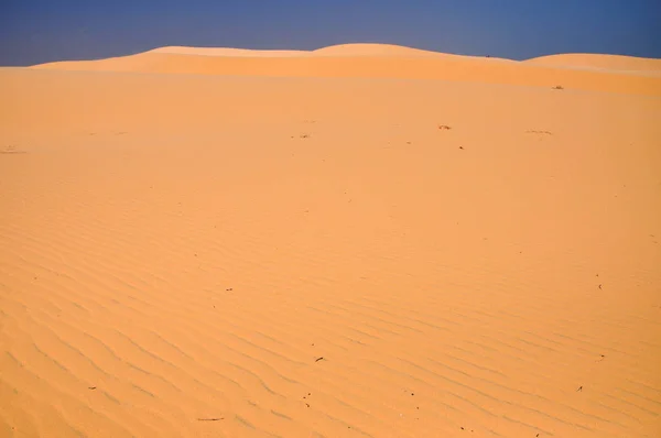 Wydmy na pustyni — Zdjęcie stockowe