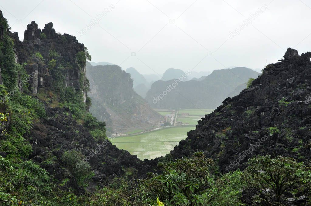 Panorama view of rice fields and limestone rocks and from Hang M