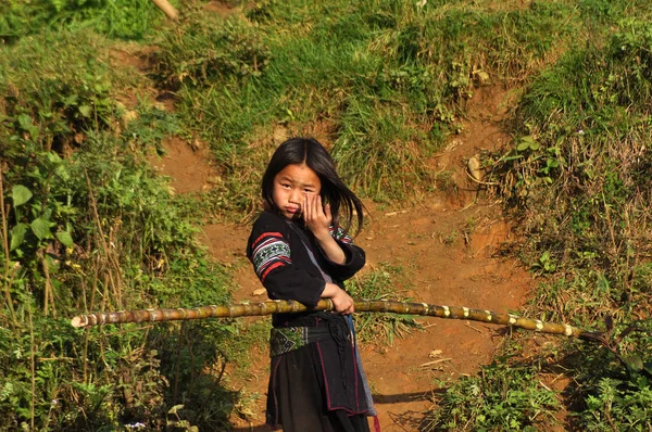 Etnické Hmong menšin děti hrají v přírodě — Stock fotografie