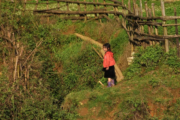 Ethnic Hmong minority kids playing in the outdoor — Stock Photo, Image