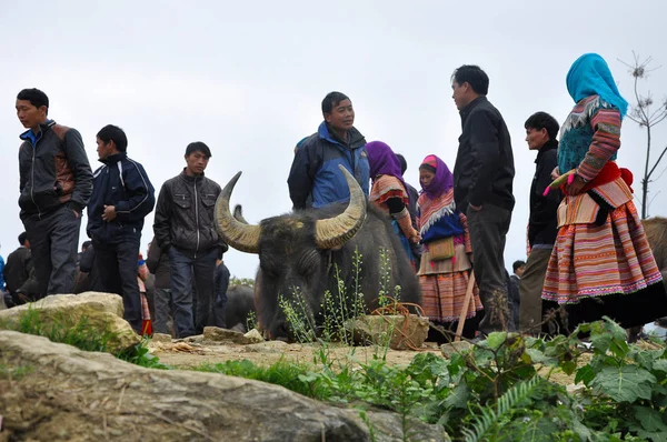 Hmong minority people in traditional dress. Sa Pa, Northern Vietnam — Stock Photo, Image