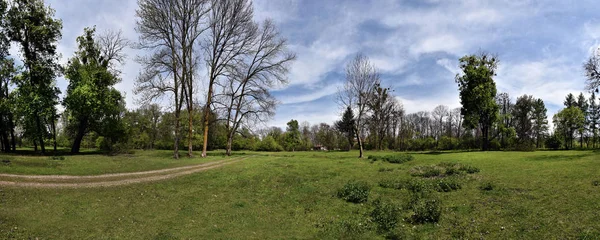 Panorama eines grünen, pulsierenden Parks — Stockfoto