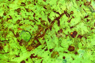 Canlı yeşil soyut resim, grunge doku arka plan