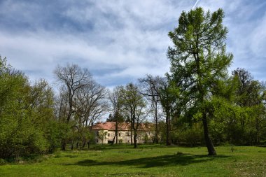 Kale Harabeleri ormanın içinde terk edilmiş