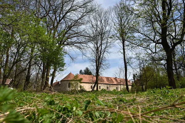 Antiguas ruinas de castillo abandonado en el bosque —  Fotos de Stock