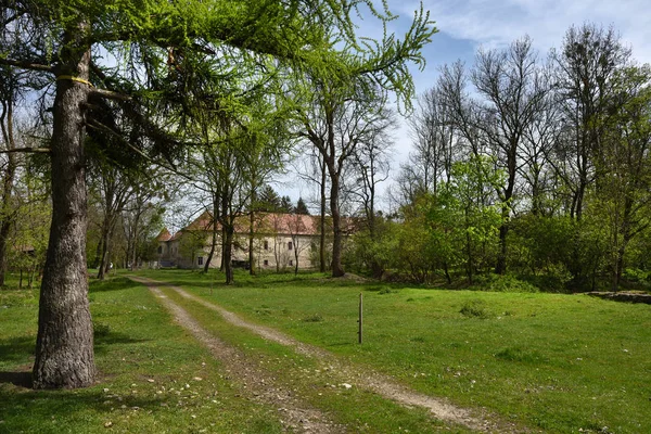 Gamla övergivna slottsruin i skogen — Stockfoto