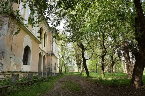 Vecchie rovine del castello abbandonato nella foresta — Foto Stock