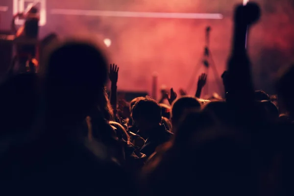 Tömeg: a koncert, a közönség kezét emeli fel — Stock Fotó