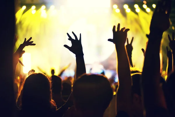 Crowd at a music concert, audience raising hands up — Stock Photo, Image