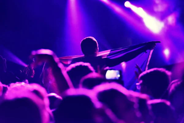 Multidão em um concerto de música, público levantando as mãos — Fotografia de Stock