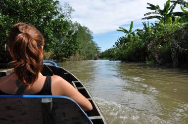 Mekong delta cruise bir tekne içinde günlük gezi ile zevk turist