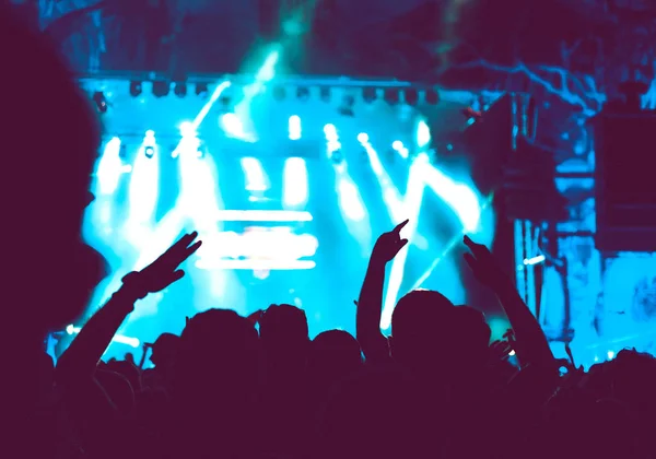 Folle di pubblico con le mani alzate a un festival musicale — Foto Stock