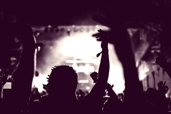 Crowd of audience with hands raised at a music festival — Stock Photo, Image