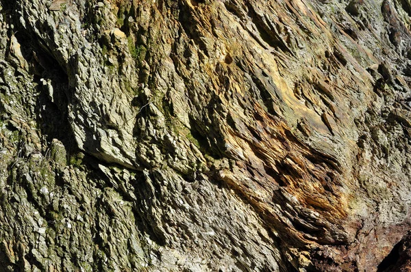 Antecedentes de una roca metamórfica en capas —  Fotos de Stock