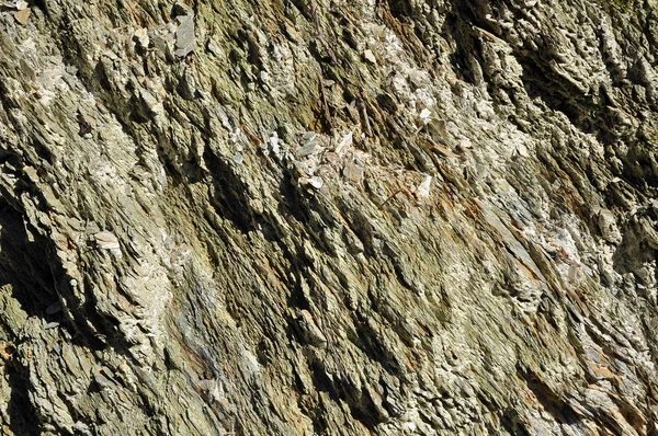 Sfondo di una roccia metamorfica stratificata — Foto Stock
