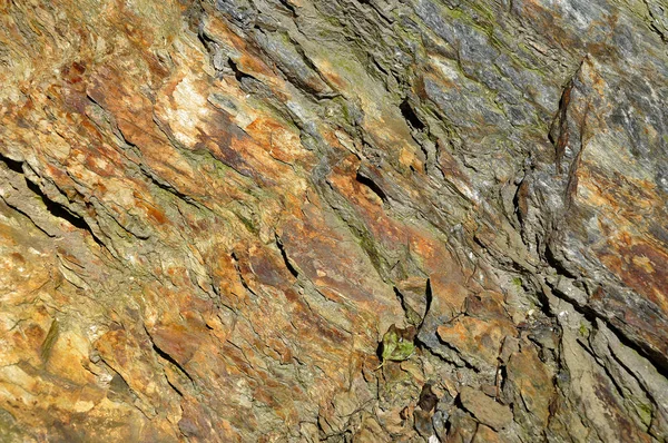 Background of a layered metamorphic rock — Stock Photo, Image