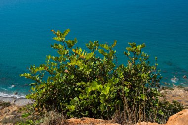 Kayalık bir yükseklik deniz ve kıyı şeridi görünümünden