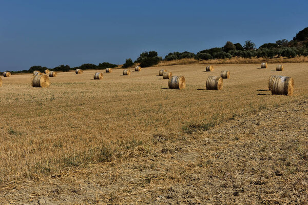 Straw bales on farmland with blue sky