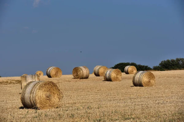 Stro Balen op landbouwgrond met blauwe hemel — Stockfoto