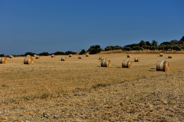 Straw bales, on agricultural farmland against blue sky