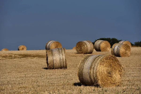 Straw bales on farmland with blue sky — Φωτογραφία Αρχείου