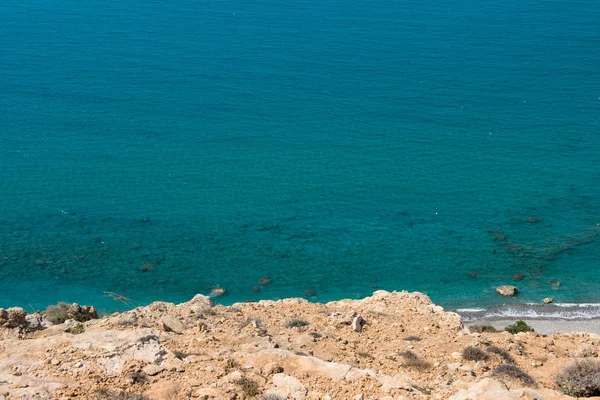 Θέα στη θάλασσα και την ακτογραμμή από βραχώδη ύψος — Φωτογραφία Αρχείου