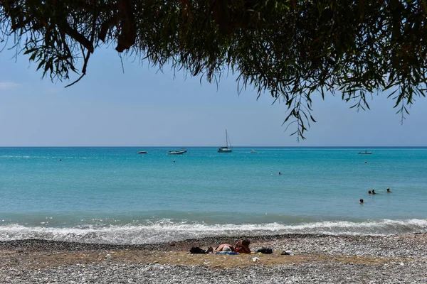 Θέα στη θάλασσα, κάτω από ένα δέντρο της Μεσογείου — Φωτογραφία Αρχείου