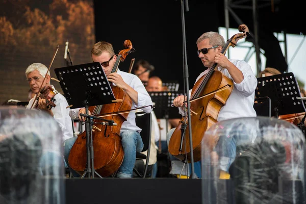 Węgierska Opera Orchestra z Cluj wykonywania koncert na żywo — Zdjęcie stockowe