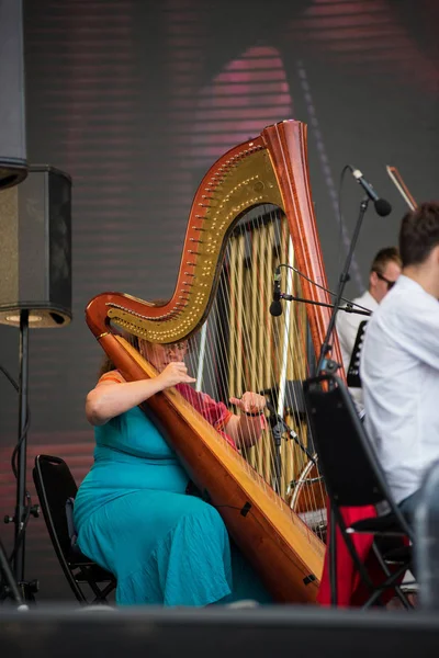 Węgierska Opera Orchestra z Cluj wykonywania koncert na żywo — Zdjęcie stockowe