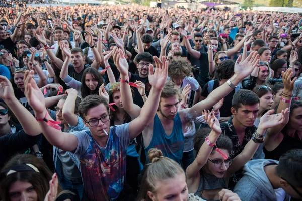 Multitud de personas animadas disfrutando de un concierto en vivo —  Fotos de Stock