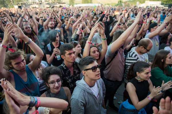 Crowd af jublende mennesker nyder en live koncert - Stock-foto