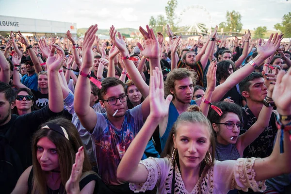 Multidão de pessoas aplaudindo desfrutar de um concerto ao vivo — Fotografia de Stock