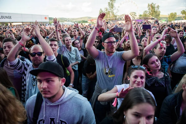 Multitud de personas animadas disfrutando de un concierto en vivo —  Fotos de Stock