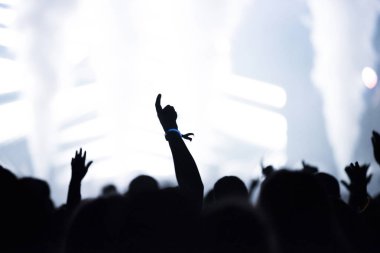 Konserde kollarını açmış kalabalığın dikiz görüntüsü