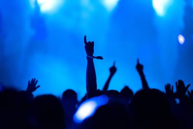 Konserde kollarını açmış kalabalığın dikiz görüntüsü