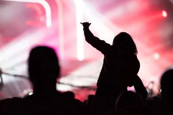 Konserde kollarını açmış kalabalığın dikiz görüntüsü — Stok fotoğraf
