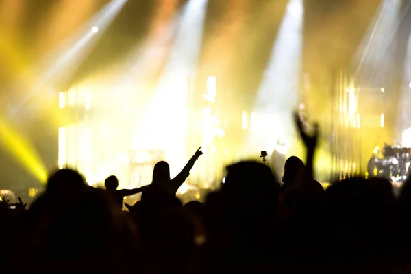Zadní pohled na dav s nataženýma rukama na koncertě — Stock fotografie