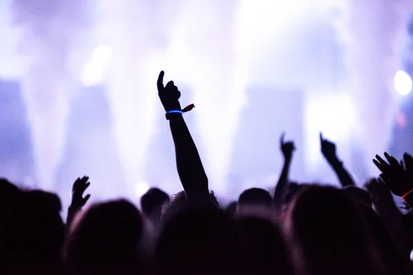 Visão traseira da multidão com os braços estendidos no concerto — Fotografia de Stock