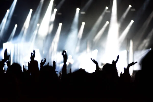 Konserde kollarını açmış kalabalığın dikiz görüntüsü Telifsiz Stok Imajlar