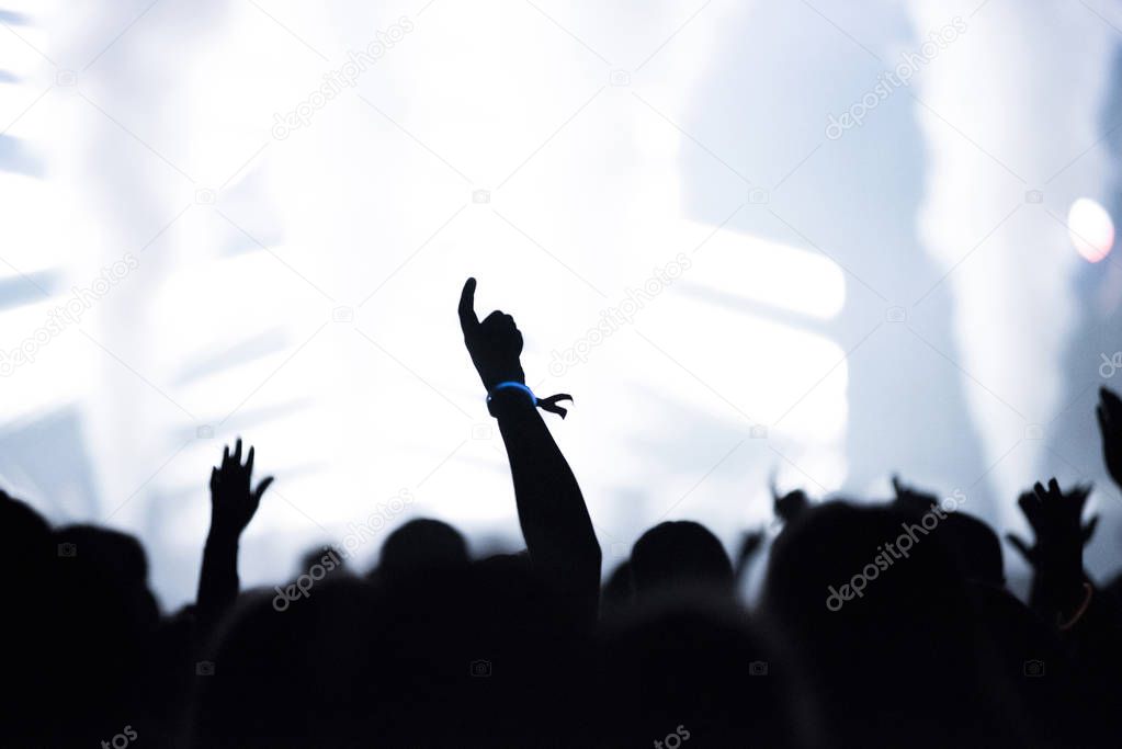 Rear view of crowd with arms outstretched at concert