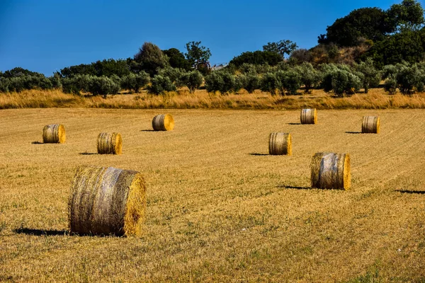 Strohballen auf Ackerland mit blauem Himmel — Stockfoto