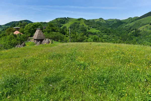 Krajobraz zielonych krajobrazów w górach — Zdjęcie stockowe