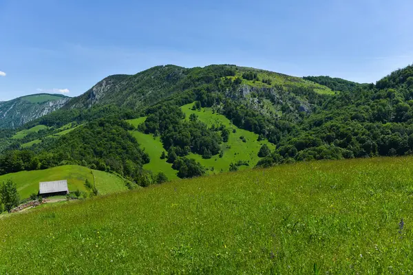Green countryside landscape in the mountains — Stock Photo, Image